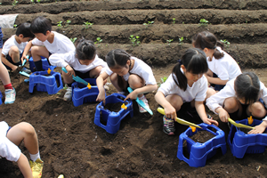 桐朋学園小学校